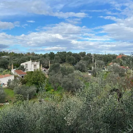 Casa Collina - Giardino